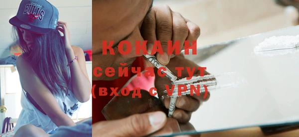 хмурый Богородицк