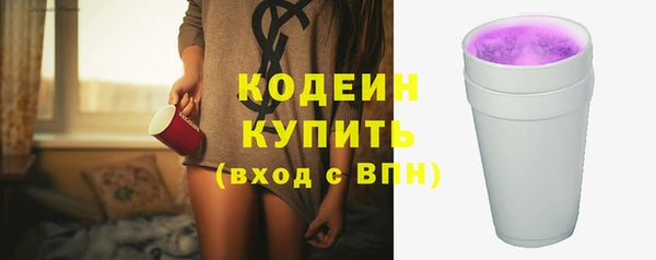 хмурый Богородицк