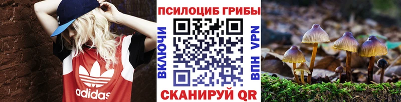 Псилоцибиновые грибы Psilocybine cubensis  Купить где  Дорогобуж 